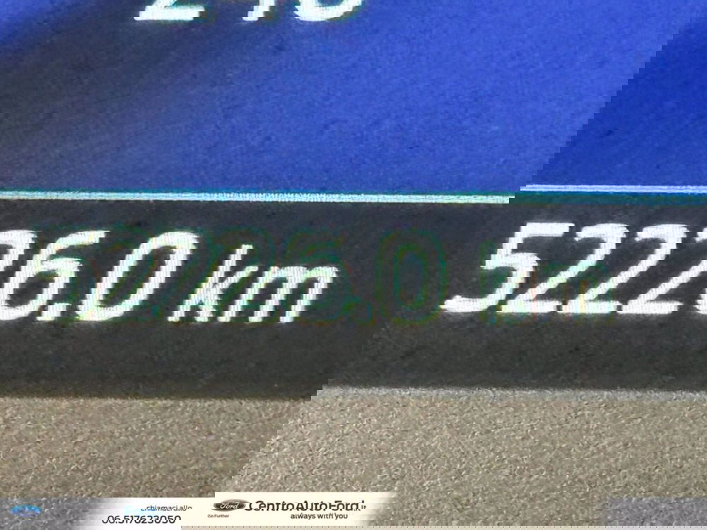 Ford Fiesta usata a Roma (20)
