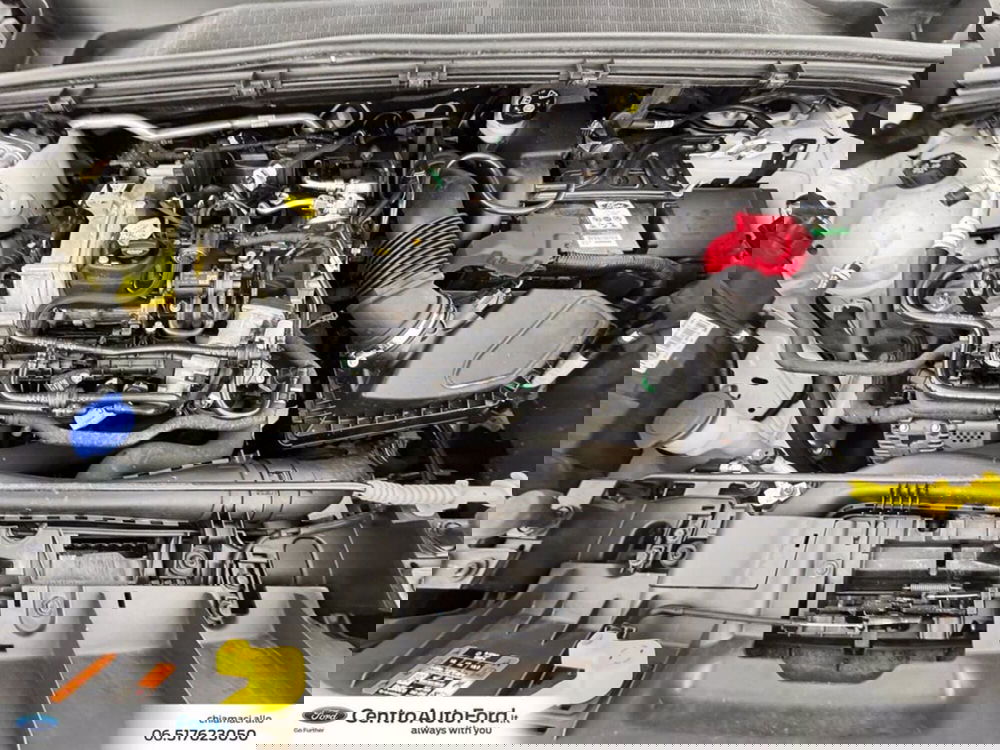 Ford Puma usata a Roma (12)