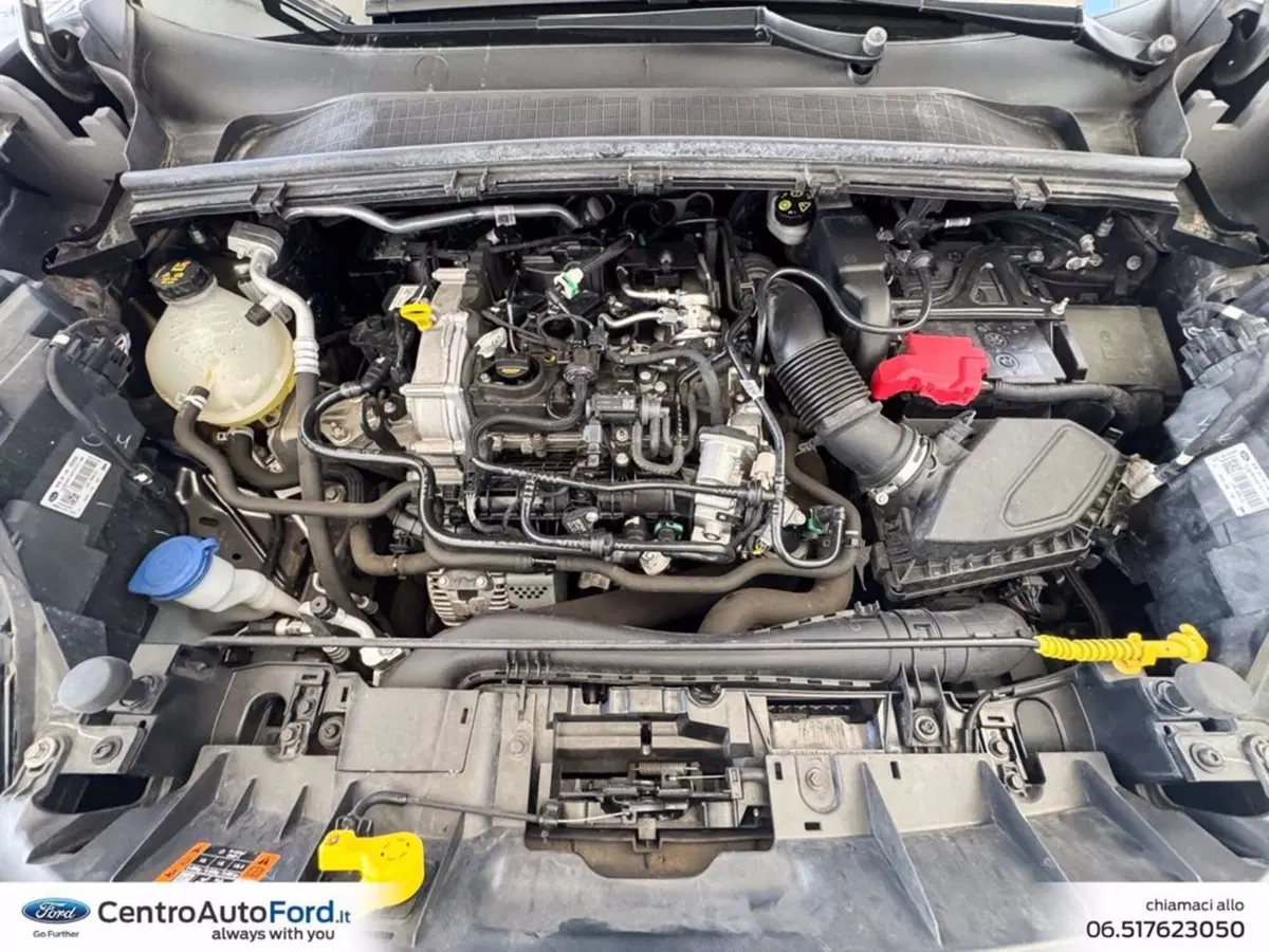 Ford Puma usata a Roma (12)