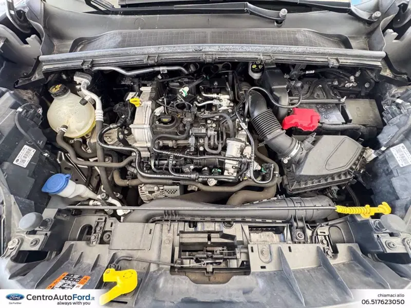 Ford Puma usata a Roma (12)