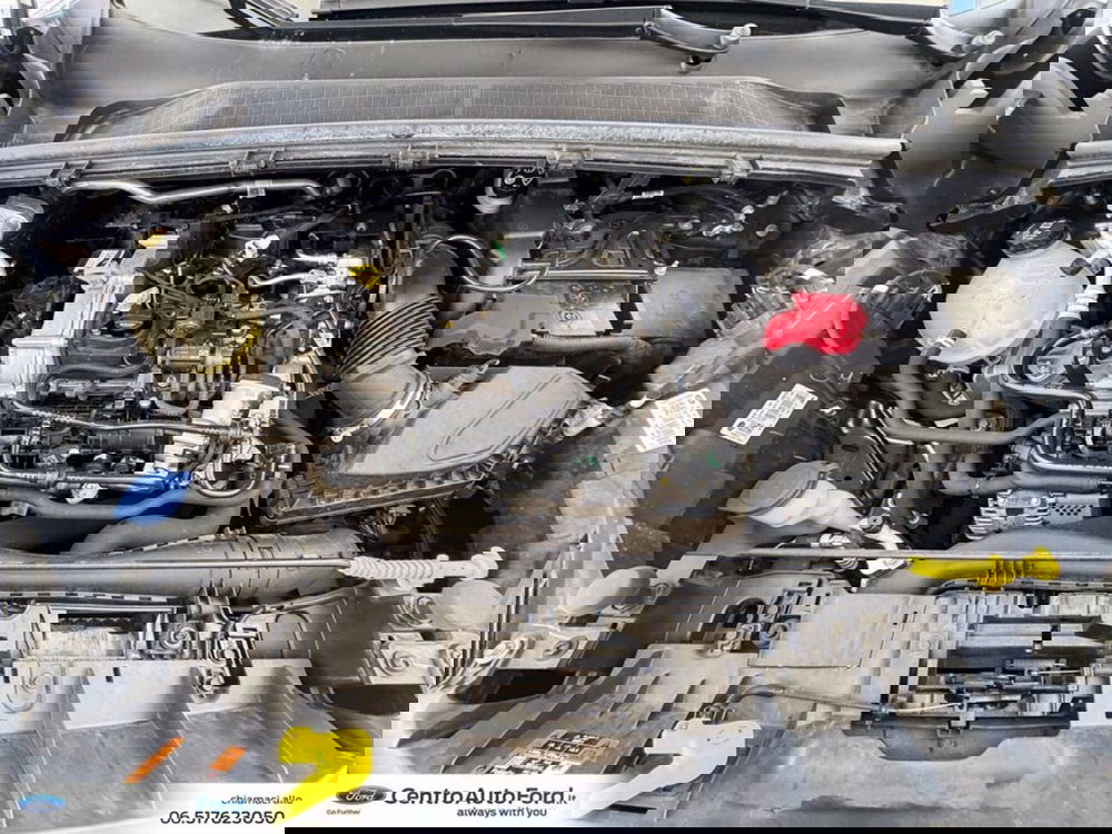 Ford Puma usata a Roma (12)