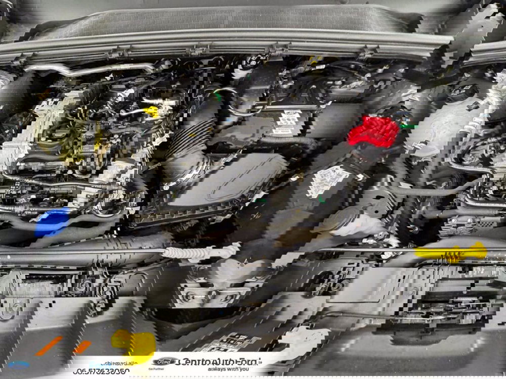 Ford Puma usata a Roma (12)