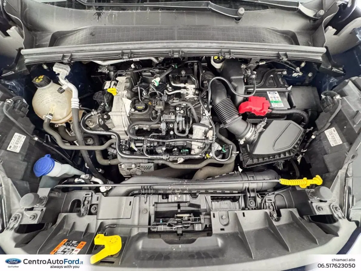 Ford Puma usata a Roma (12)