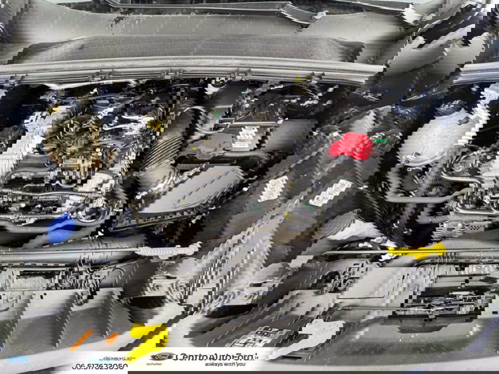 Ford Puma usata a Roma (12)