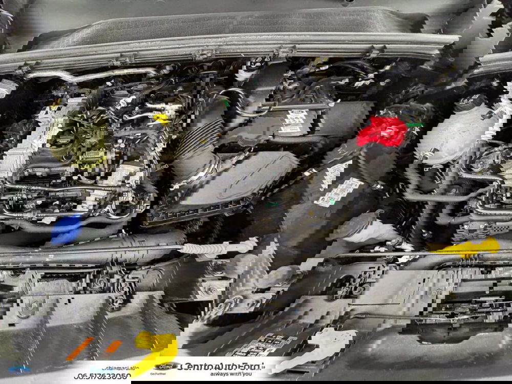 Ford Puma usata a Roma (12)