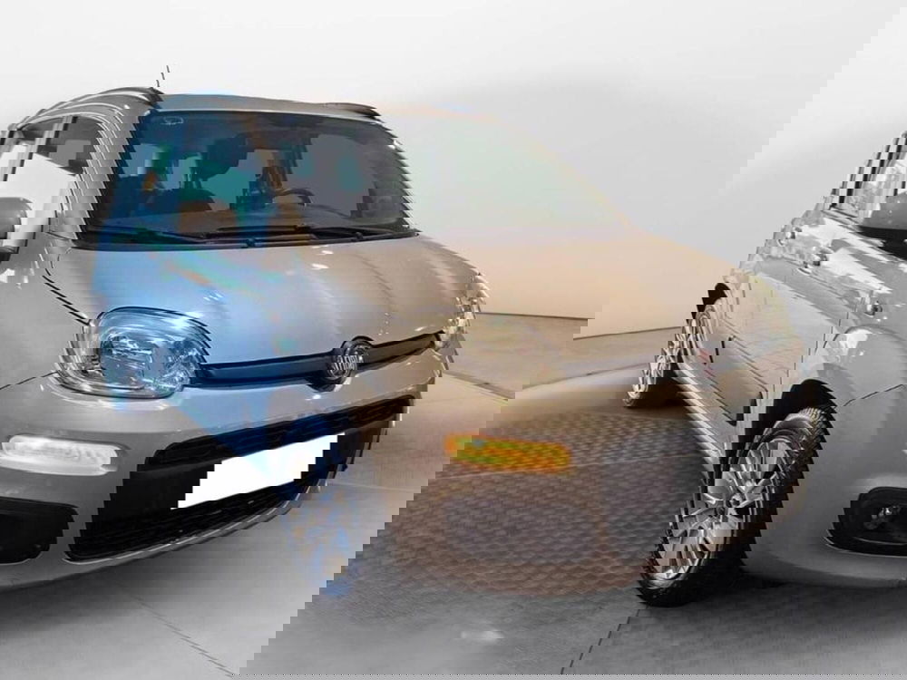 Fiat Panda usata a Torino (3)