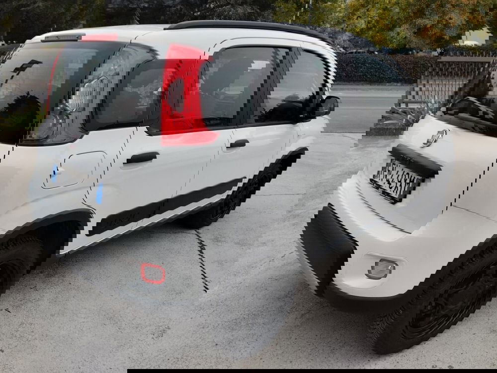 Fiat Panda usata a Asti (4)