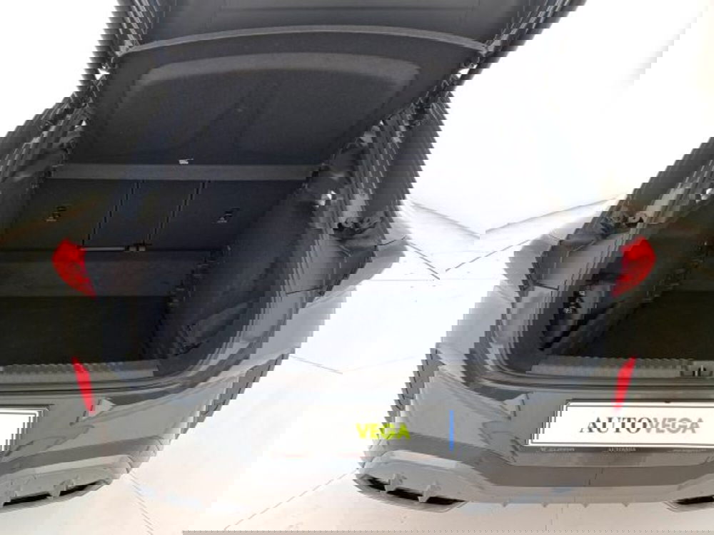 Cupra Terramar usata a Vicenza (10)