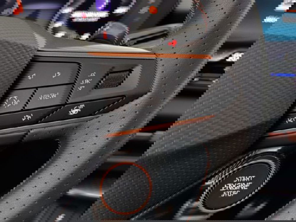 Cupra Terramar usata a Vicenza (18)