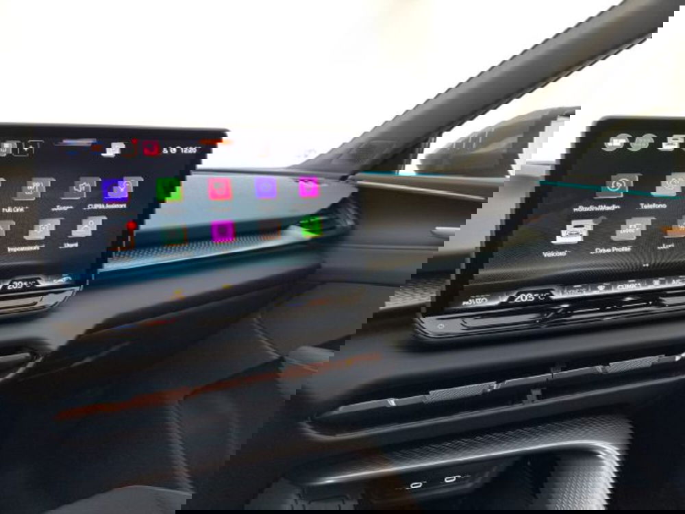 Cupra Terramar usata a Vicenza (19)