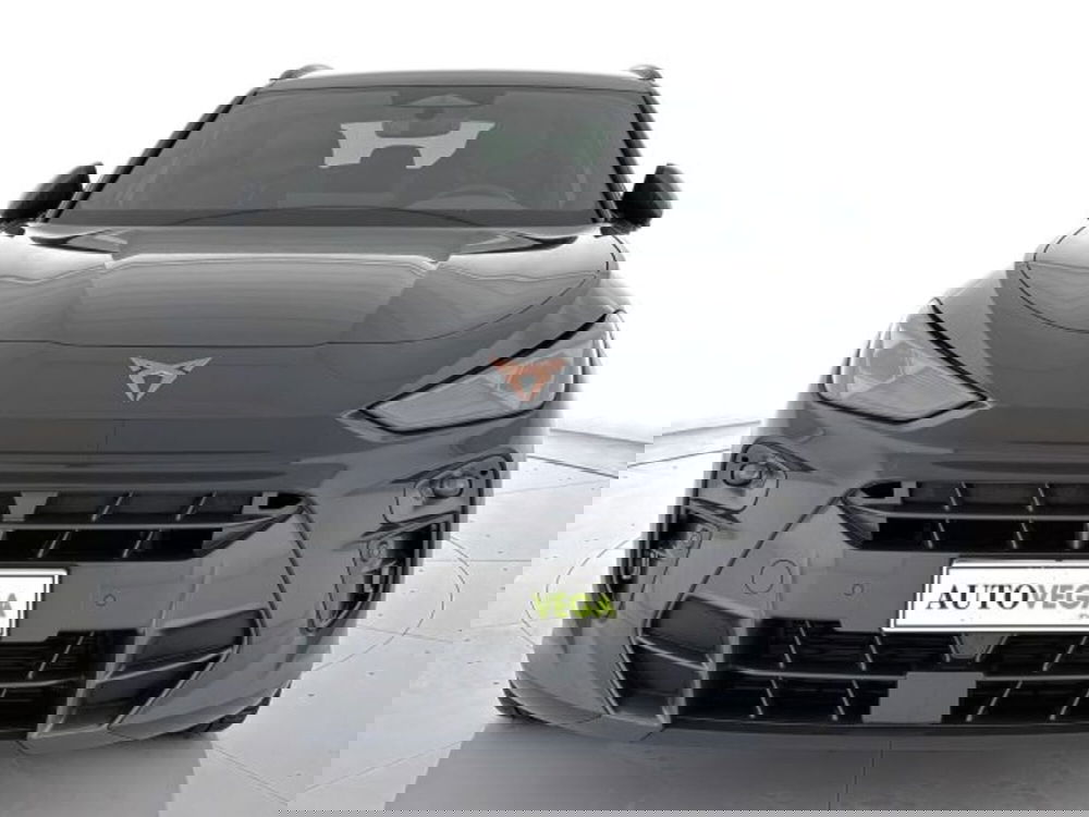 Cupra Terramar usata a Vicenza (2)