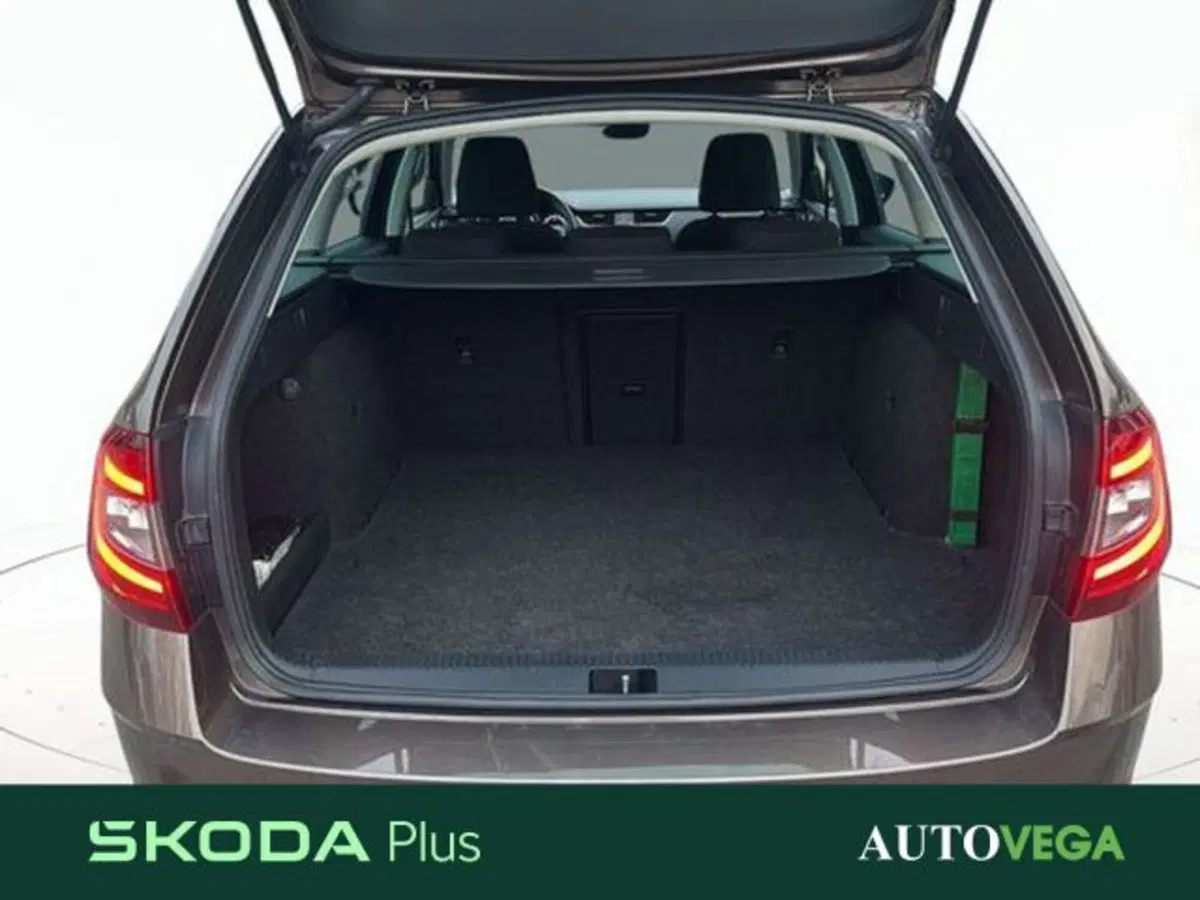 Skoda Octavia Station Wagon usata a Vicenza (18)