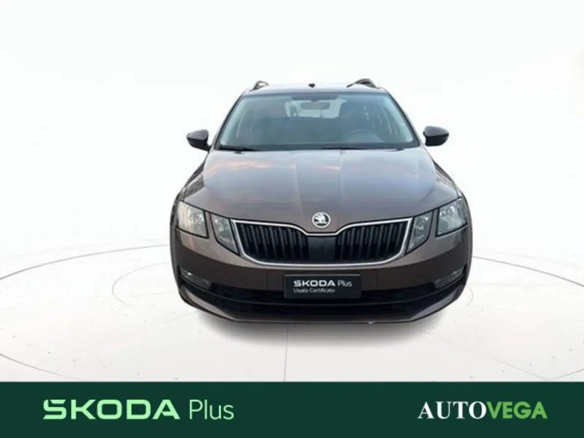 Skoda Octavia Station Wagon usata a Vicenza (2)