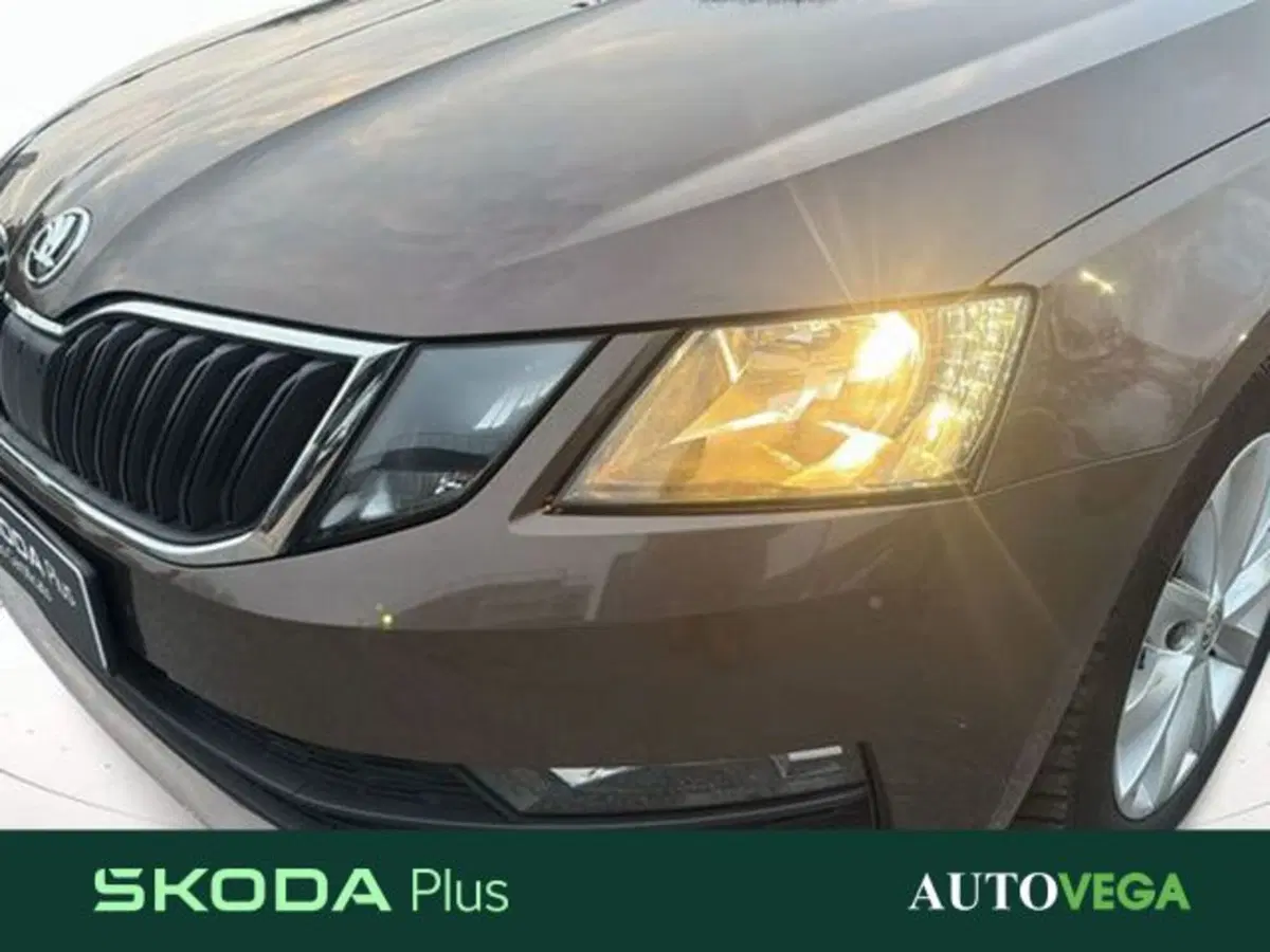 Skoda Octavia Station Wagon usata a Vicenza (20)