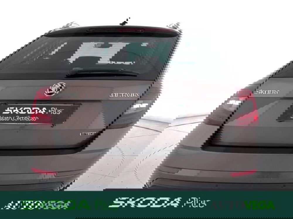 Skoda Octavia Station Wagon usata a Vicenza (4)