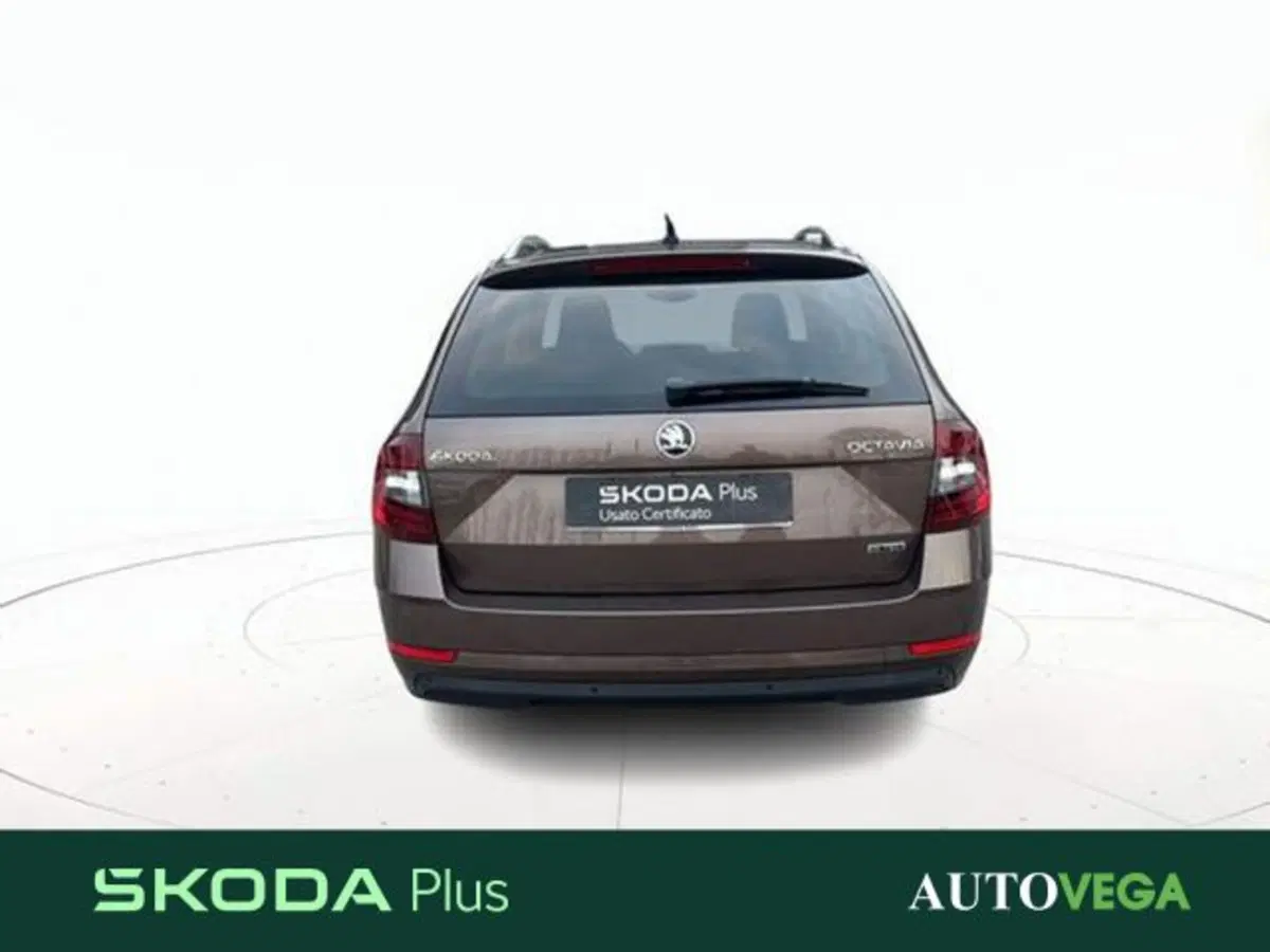 Skoda Octavia Station Wagon usata a Vicenza (5)