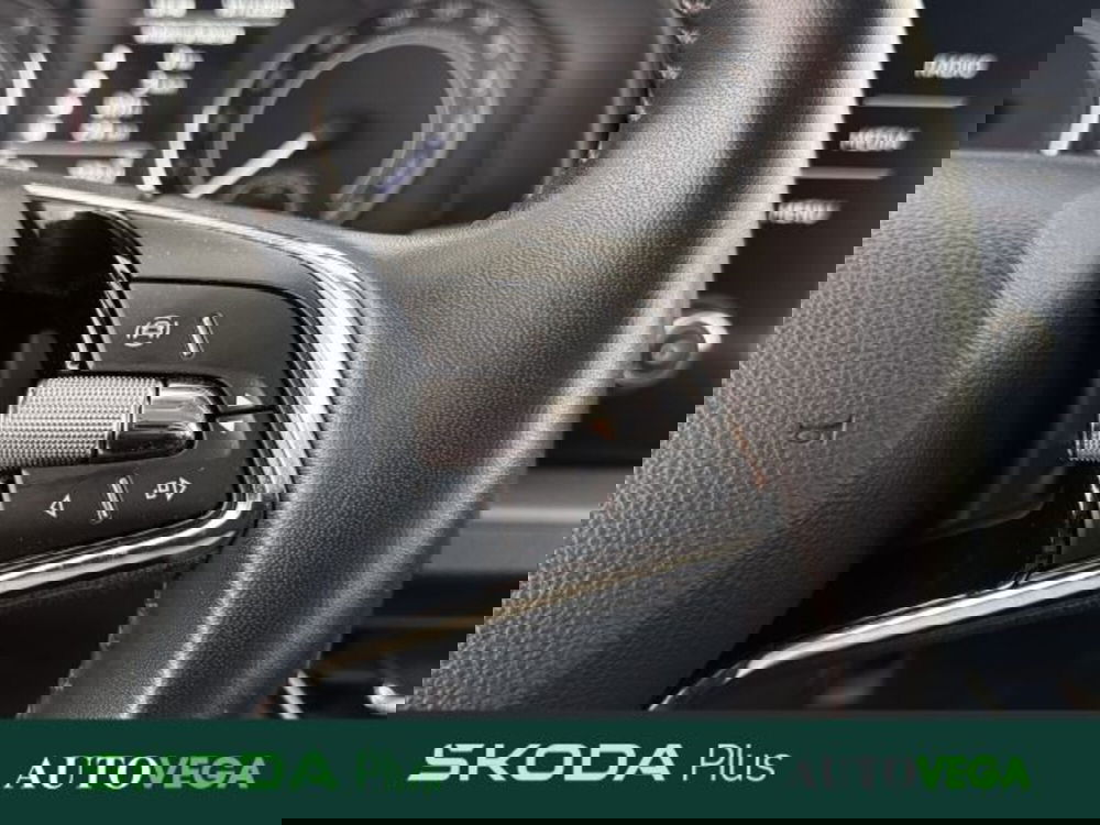 Skoda Kamiq usata a Vicenza (19)