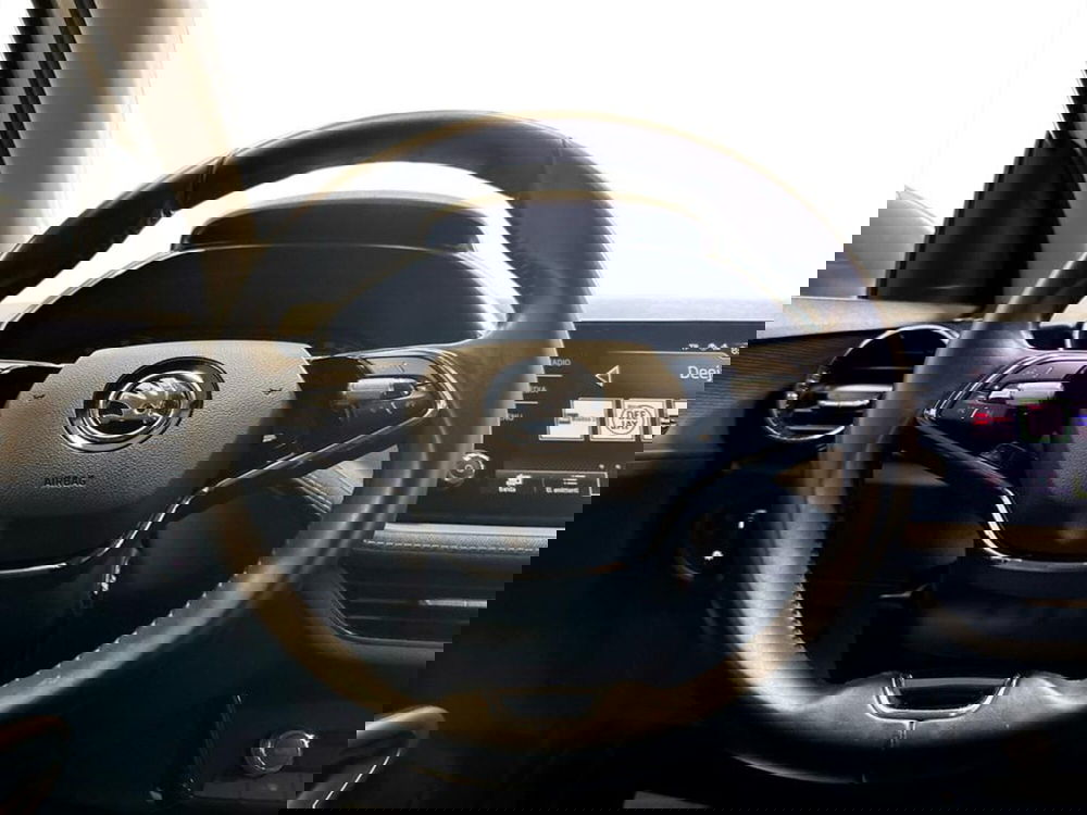 Skoda Fabia usata a Piacenza (12)