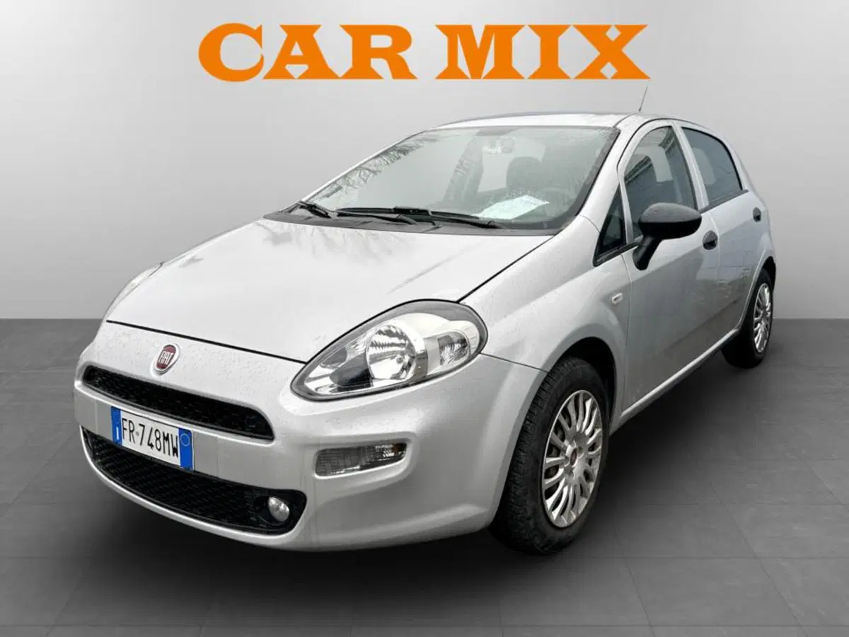 Fiat Punto usata a Piacenza