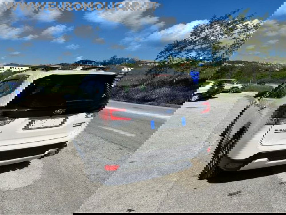 Subaru Forester usata a Campobasso (5)