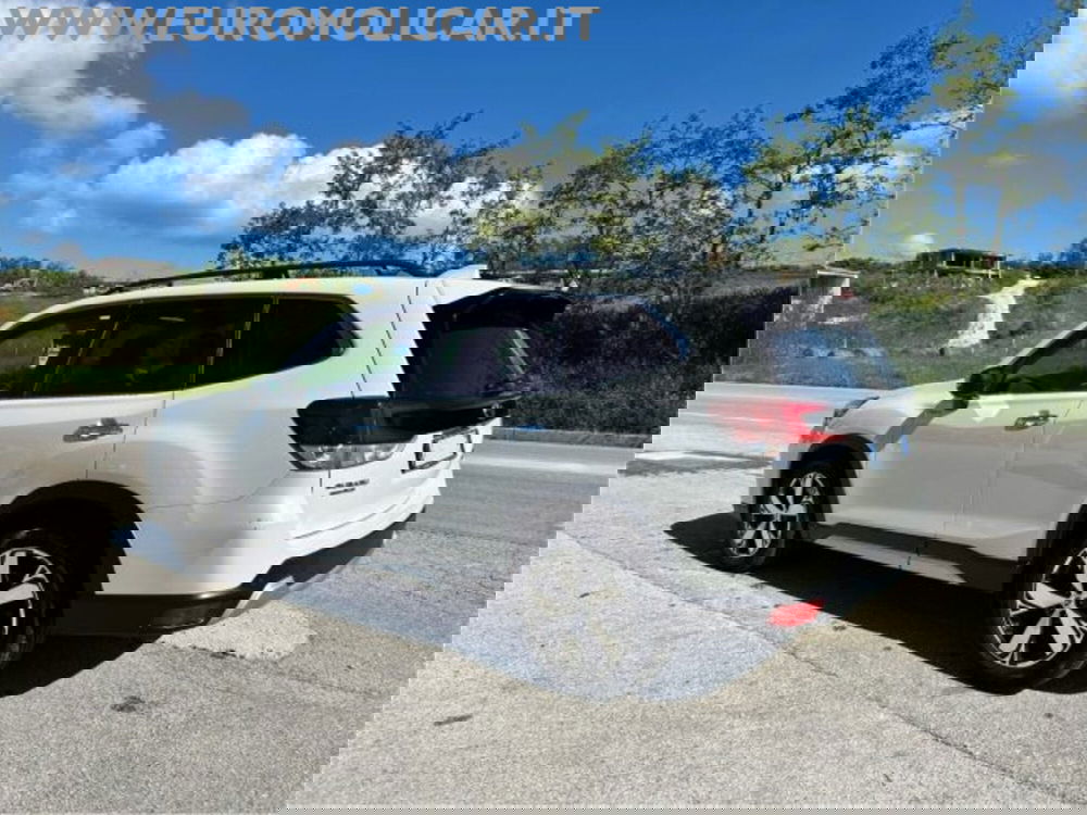 Subaru Forester usata a Campobasso (5)