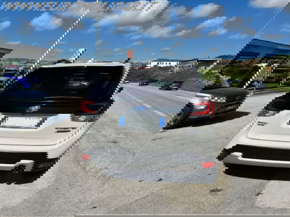 Subaru Forester usata a Campobasso (7)