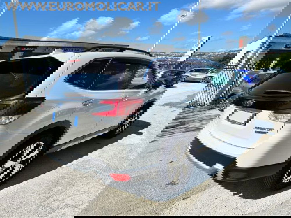 Subaru Forester usata a Campobasso (8)