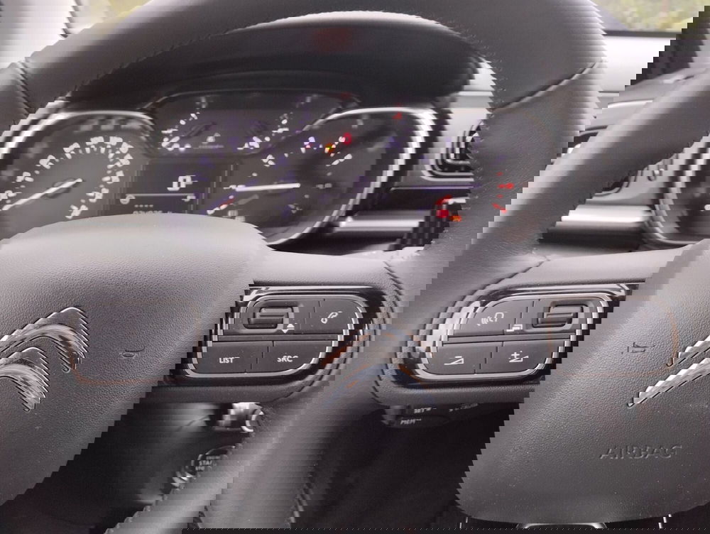 Citroen C3 usata a Asti (10)