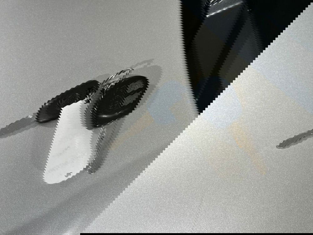 Fiat Sedici usata a Sondrio (14)