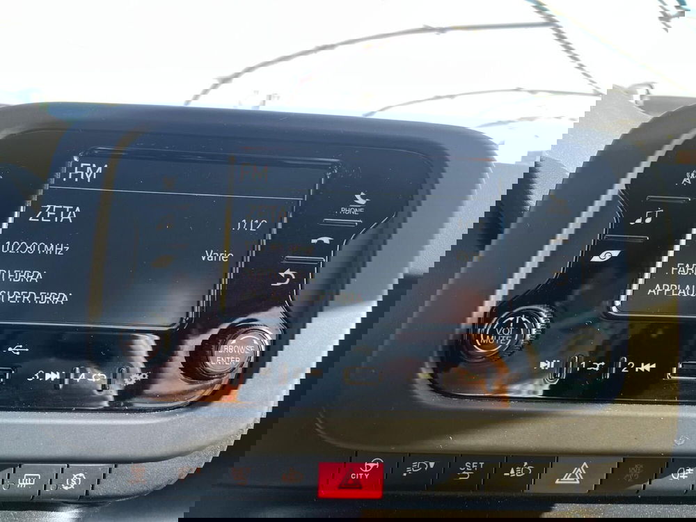 Fiat Panda Cross usata a Milano (16)