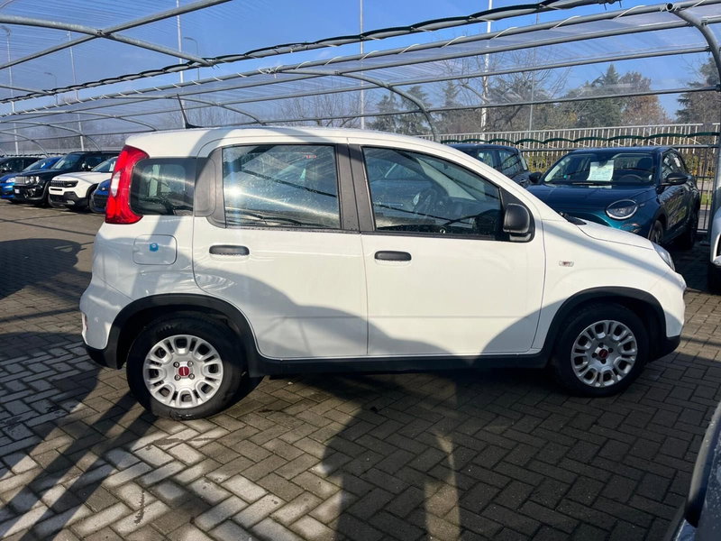 Fiat Panda Cross usata a Milano (4)