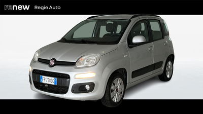 Fiat Panda 1.2 Lounge del 2018 usata a Viterbo