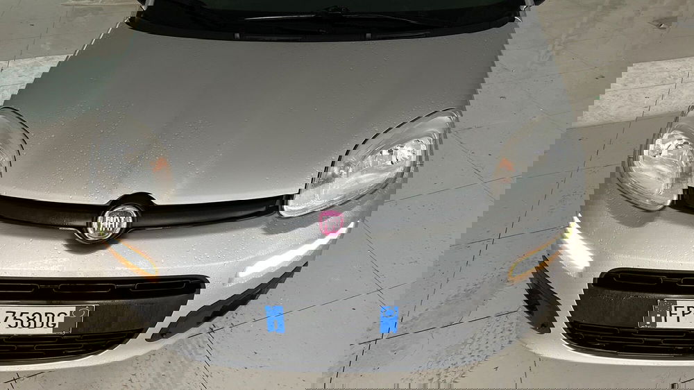 Fiat Panda usata a Viterbo (16)