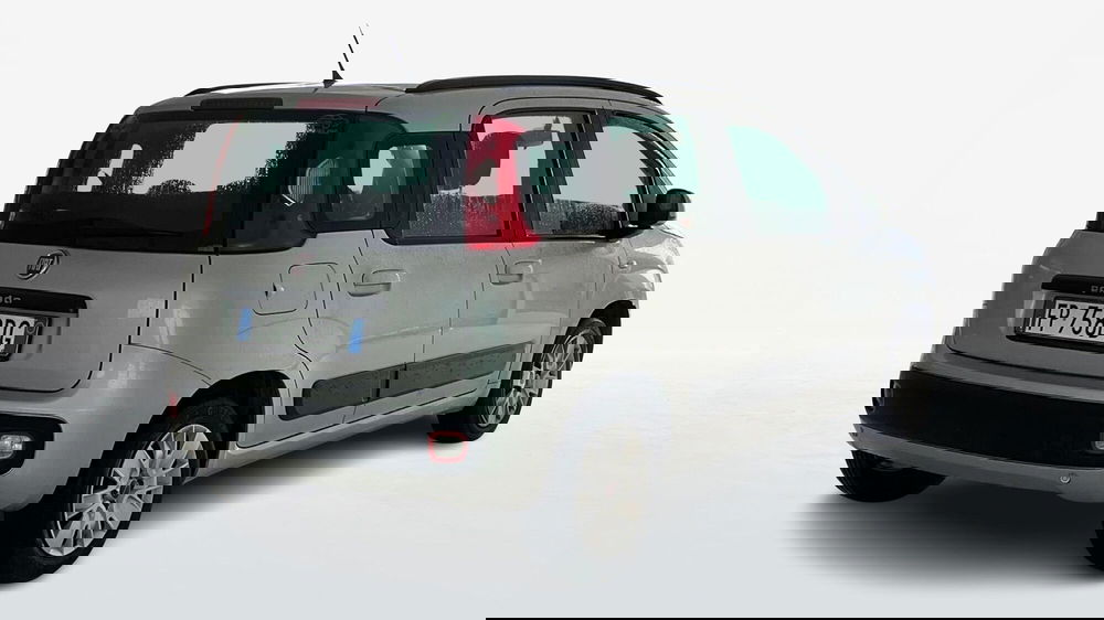 Fiat Panda usata a Viterbo (2)