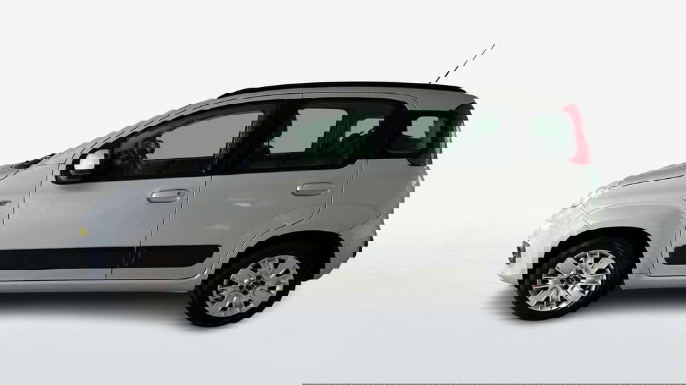 Fiat Panda usata a Viterbo (3)