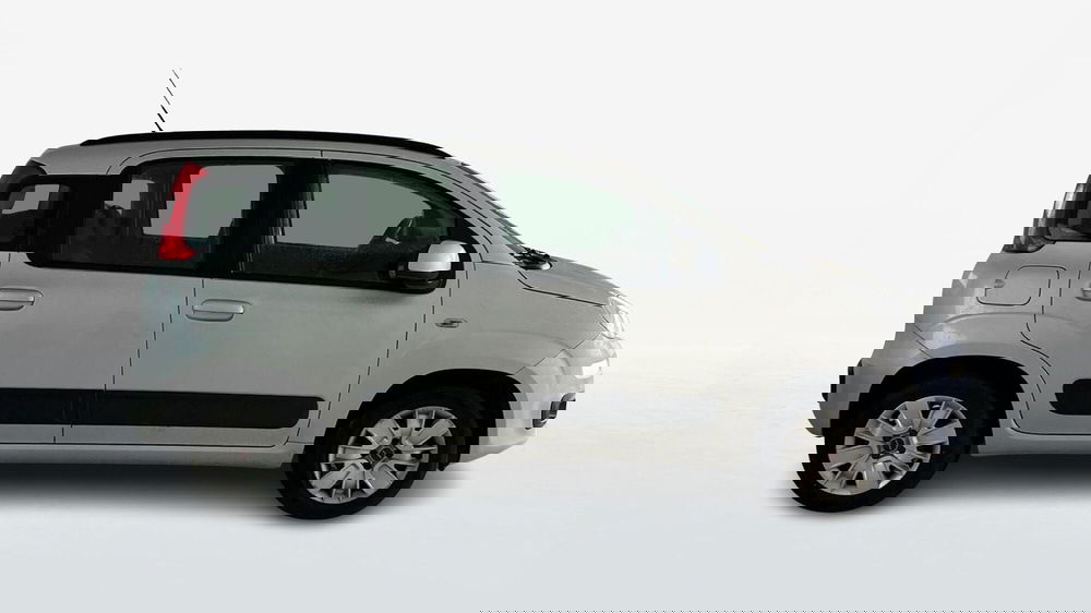 Fiat Panda usata a Viterbo (4)