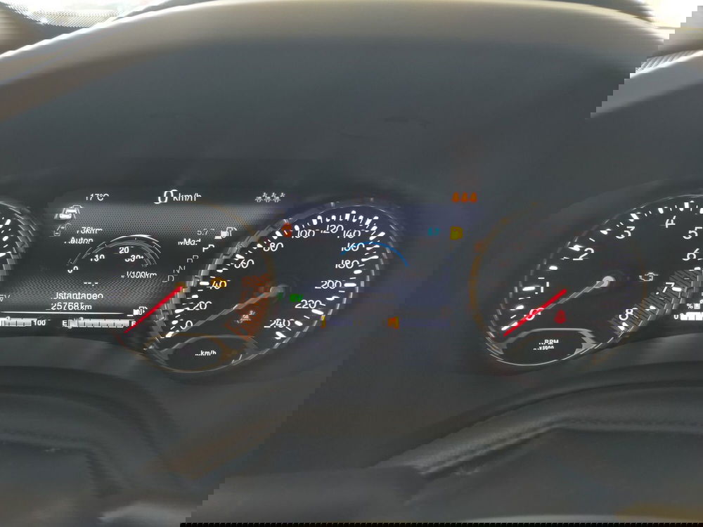 Jeep Renegade usata a Reggio Emilia (13)