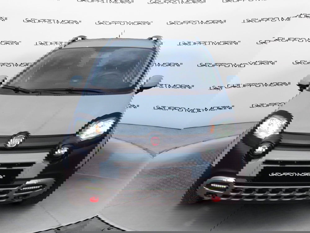 Fiat Panda Cross usata a Bologna (2)