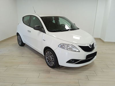 Lancia Ypsilon 1.2 69 CV 5 porte GPL Ecochic Silver del 2017 usata a Moncalieri