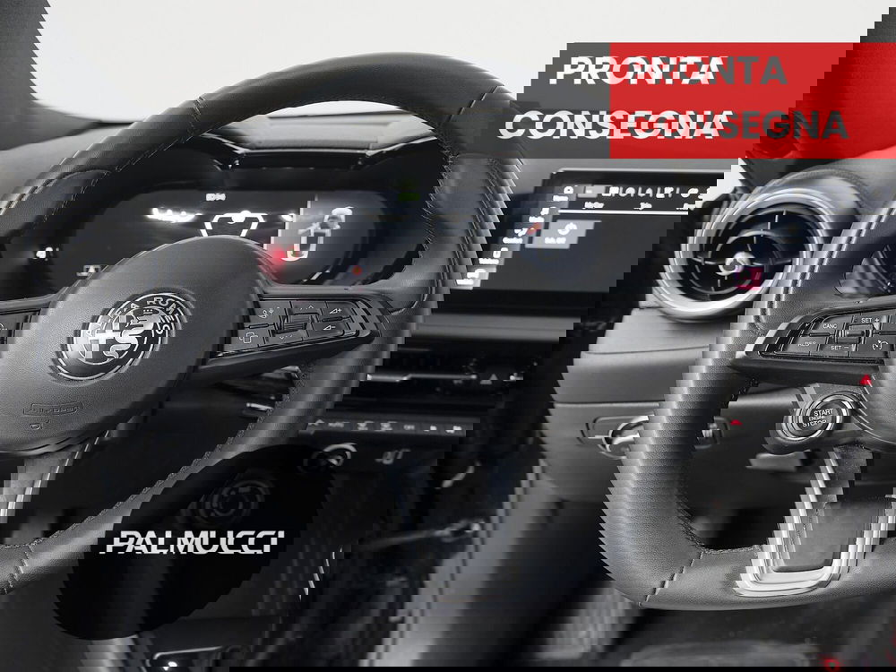 Alfa Romeo Tonale usata a Prato (15)