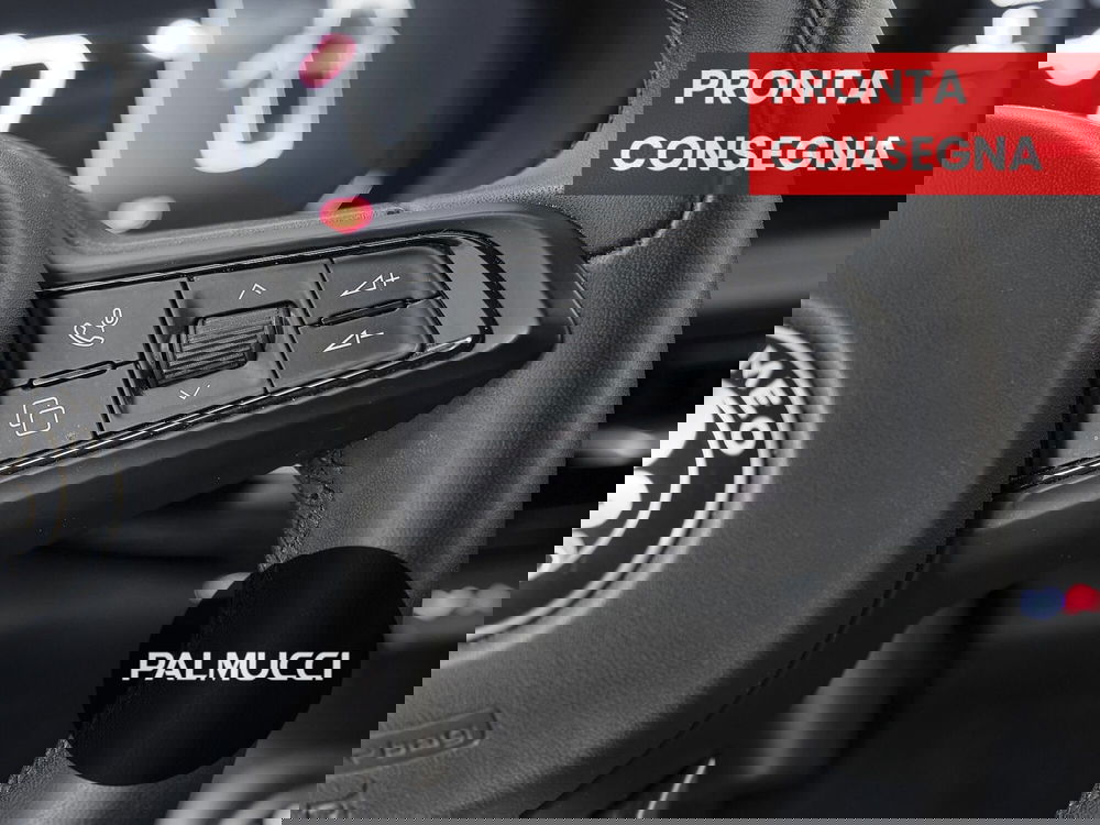 Alfa Romeo Tonale usata a Prato (17)