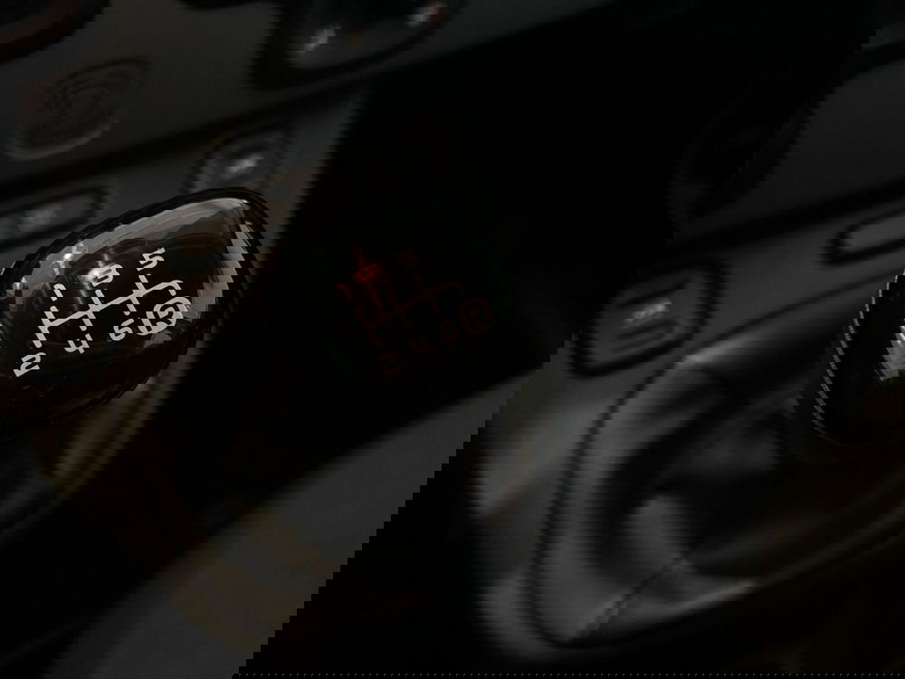 Fiat Panda Cross usata a Vercelli (12)