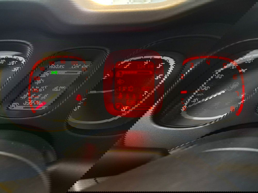 Fiat Panda Cross usata a Vercelli (4)