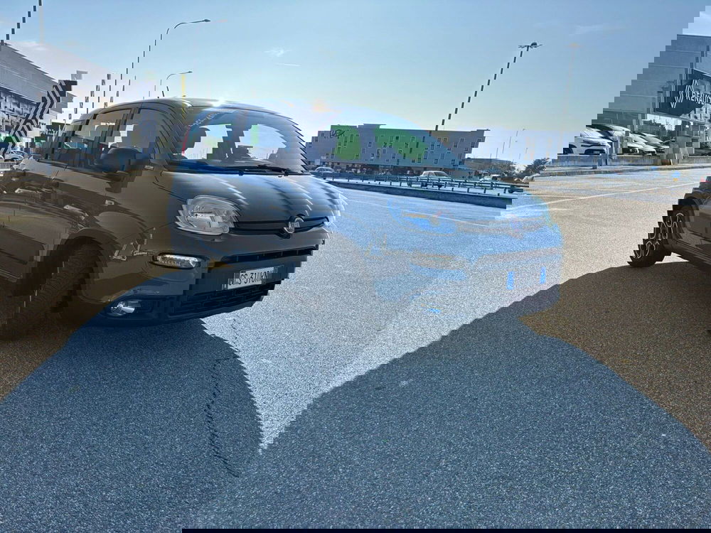 Fiat Panda Cross usata a Vercelli (5)