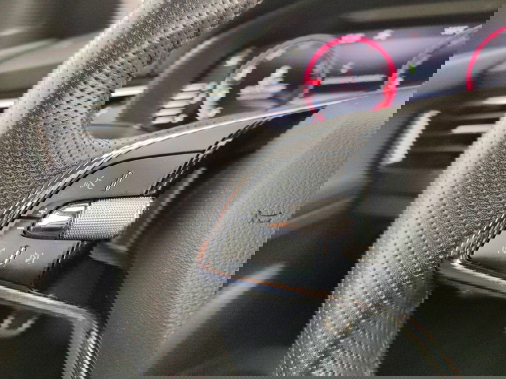 Skoda Kamiq usata a Massa-Carrara (15)