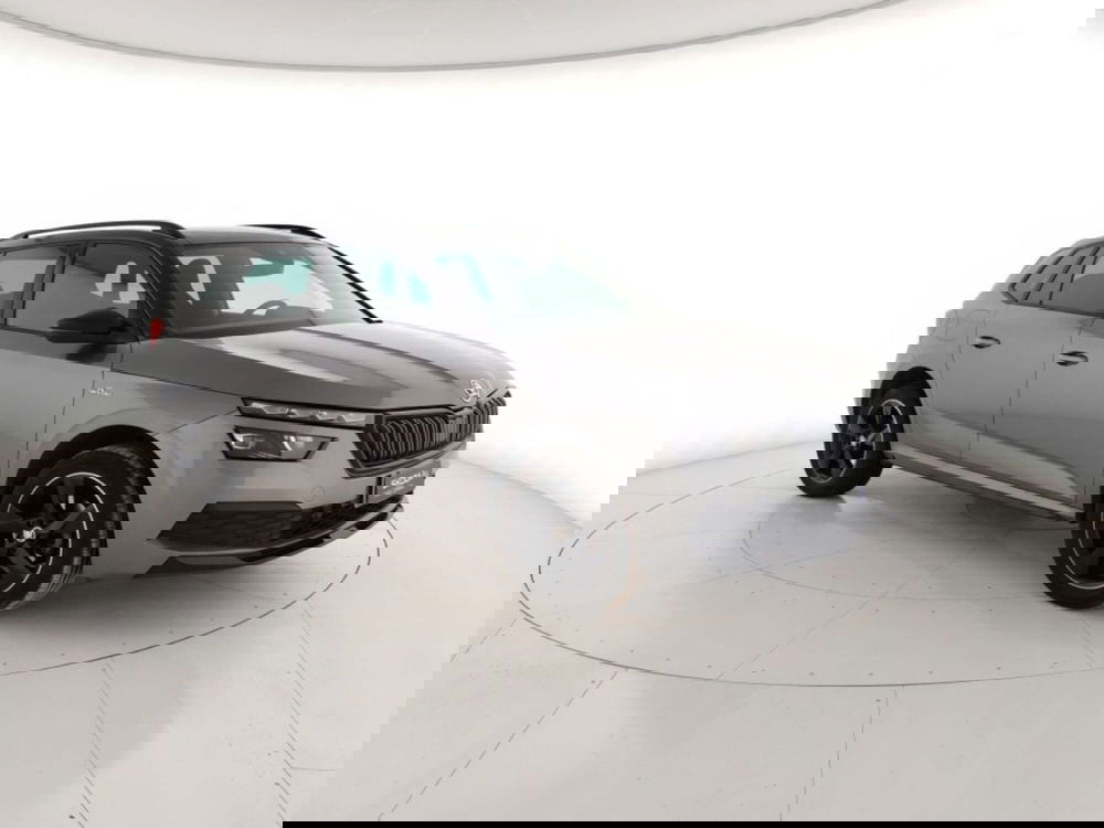 Skoda Kamiq usata a Massa-Carrara (4)