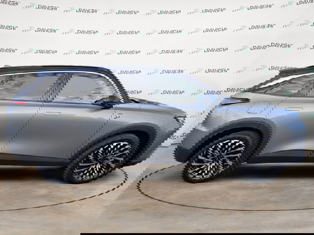 Tiger Six usata a Cremona (6)