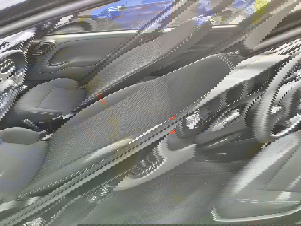 Fiat Panda Cross usata a Vercelli (11)