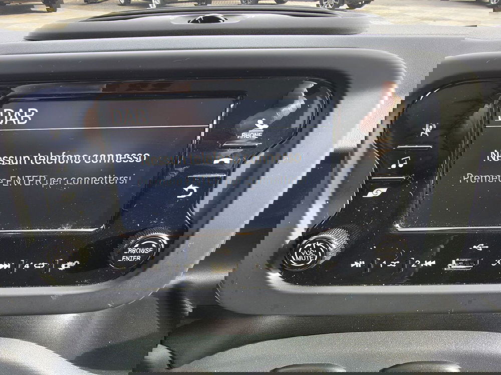 Fiat Panda Cross usata a Vercelli (9)