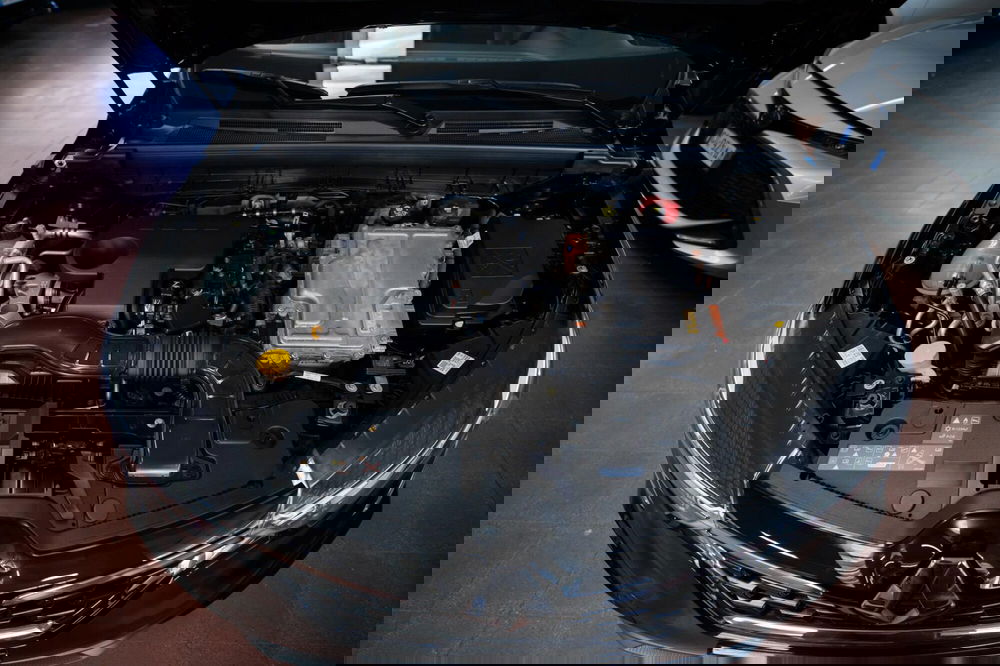 Renault Arkana usata a Torino (15)